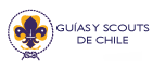 Guías y Scouts de Chile