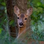 1620638929_266143_1620639130_noticia_normal_recorte1