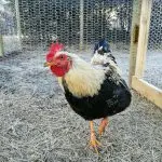 WhatsApp Image 2021-07-15 at 09.46.43