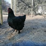 WhatsApp Image 2021-08-11 at 10.11.34 (1)