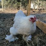 WhatsApp Image 2021-08-11 at 10.12.59 (1)