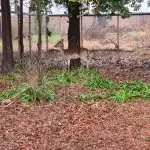 WhatsApp Image 2021-08-18 at 18.10.49